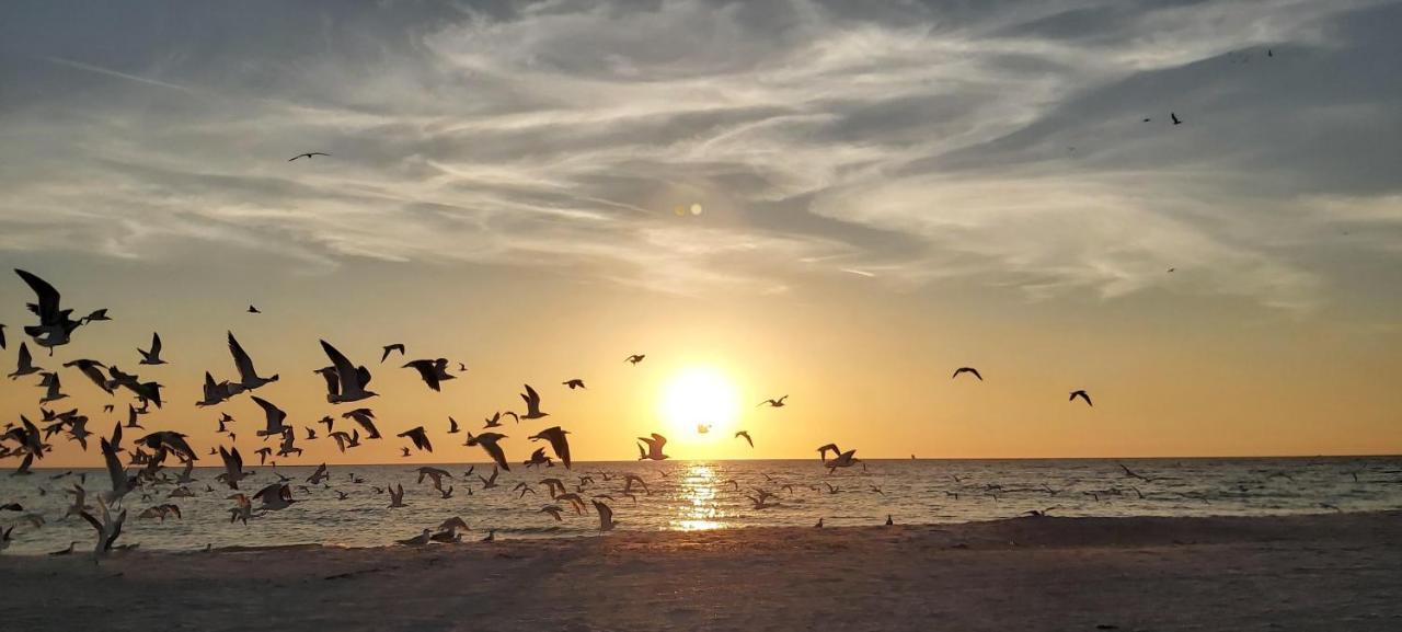 Pelican Pointe 2A Clearwater Beach Kültér fotó